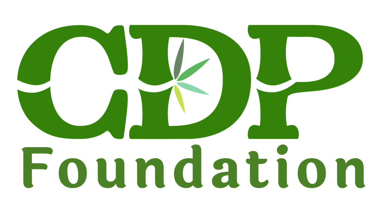 Centre for Disaster Preparedness (CDP)