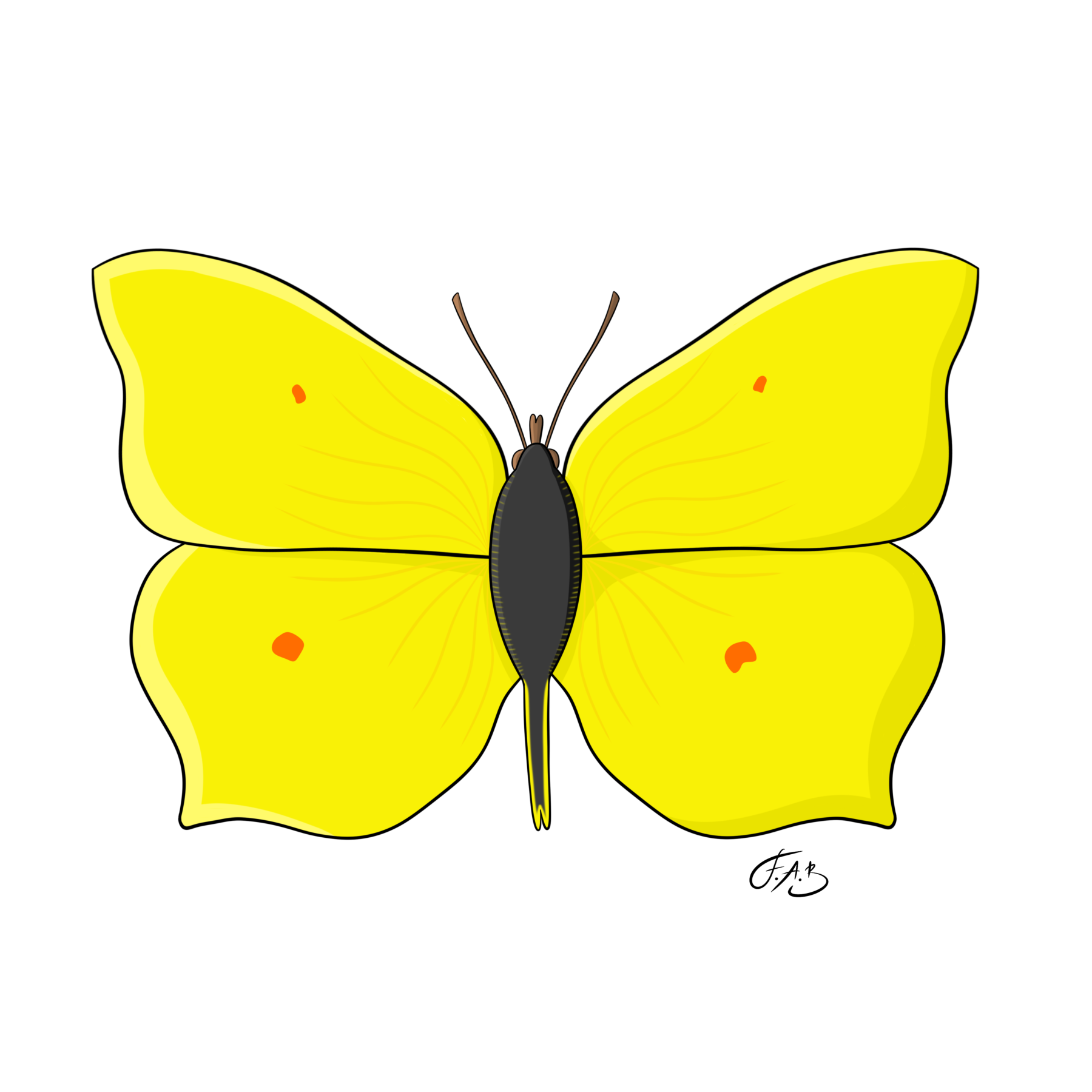 Common Brimstone Butterfly — version 4