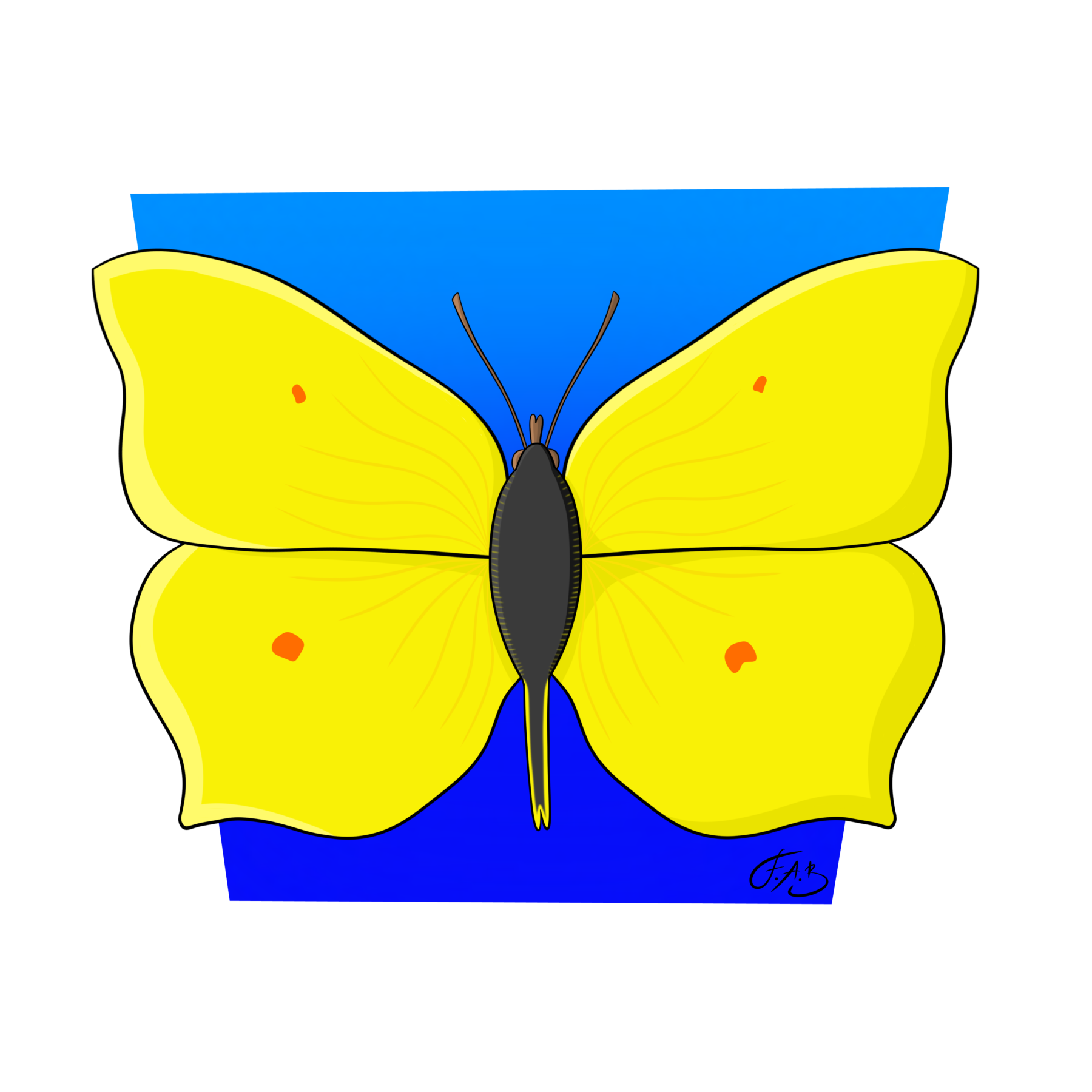 Common Brimstone Butterfly