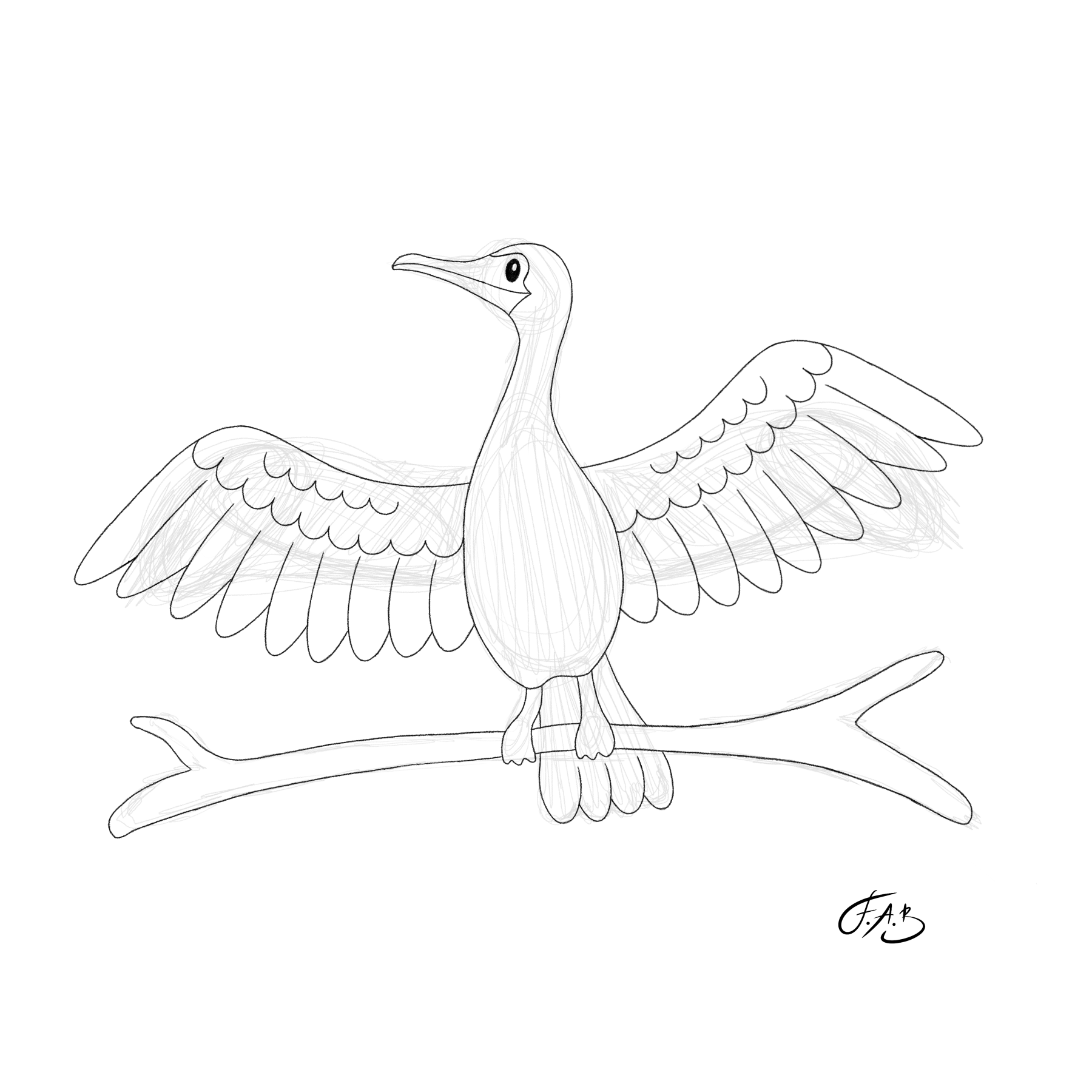 Cormorant — version 1
