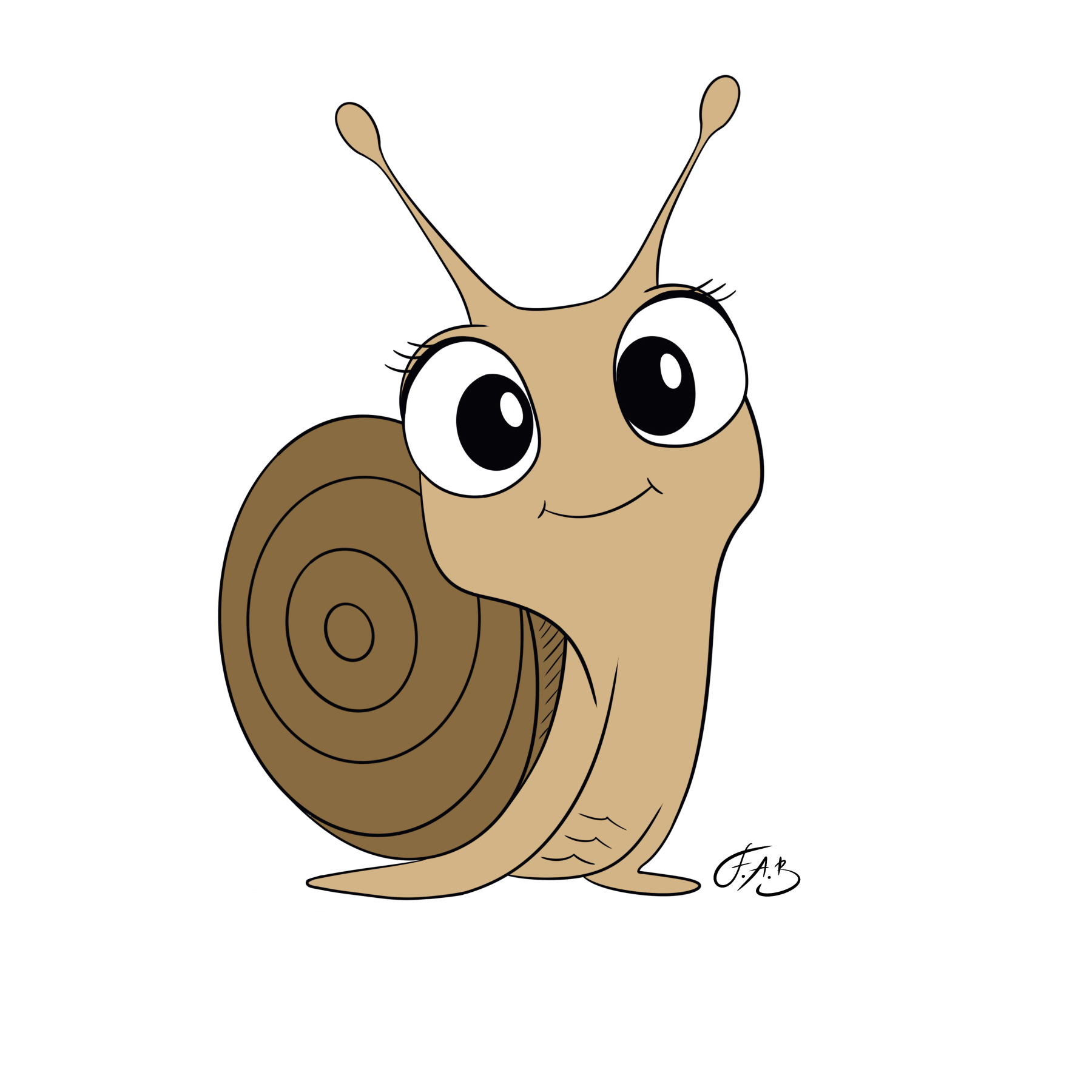 Snail — version 3