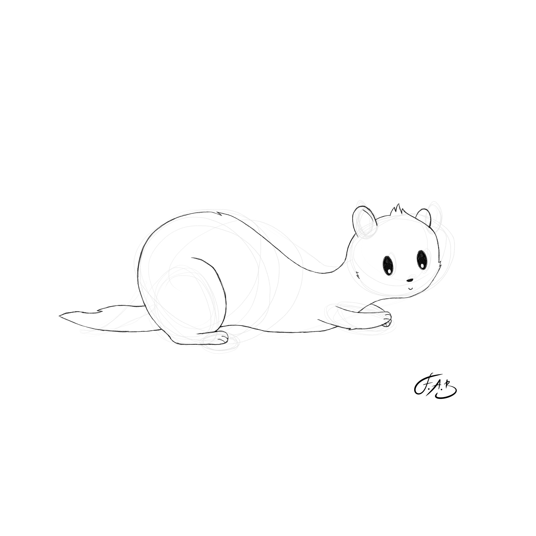 Ferret — version 1