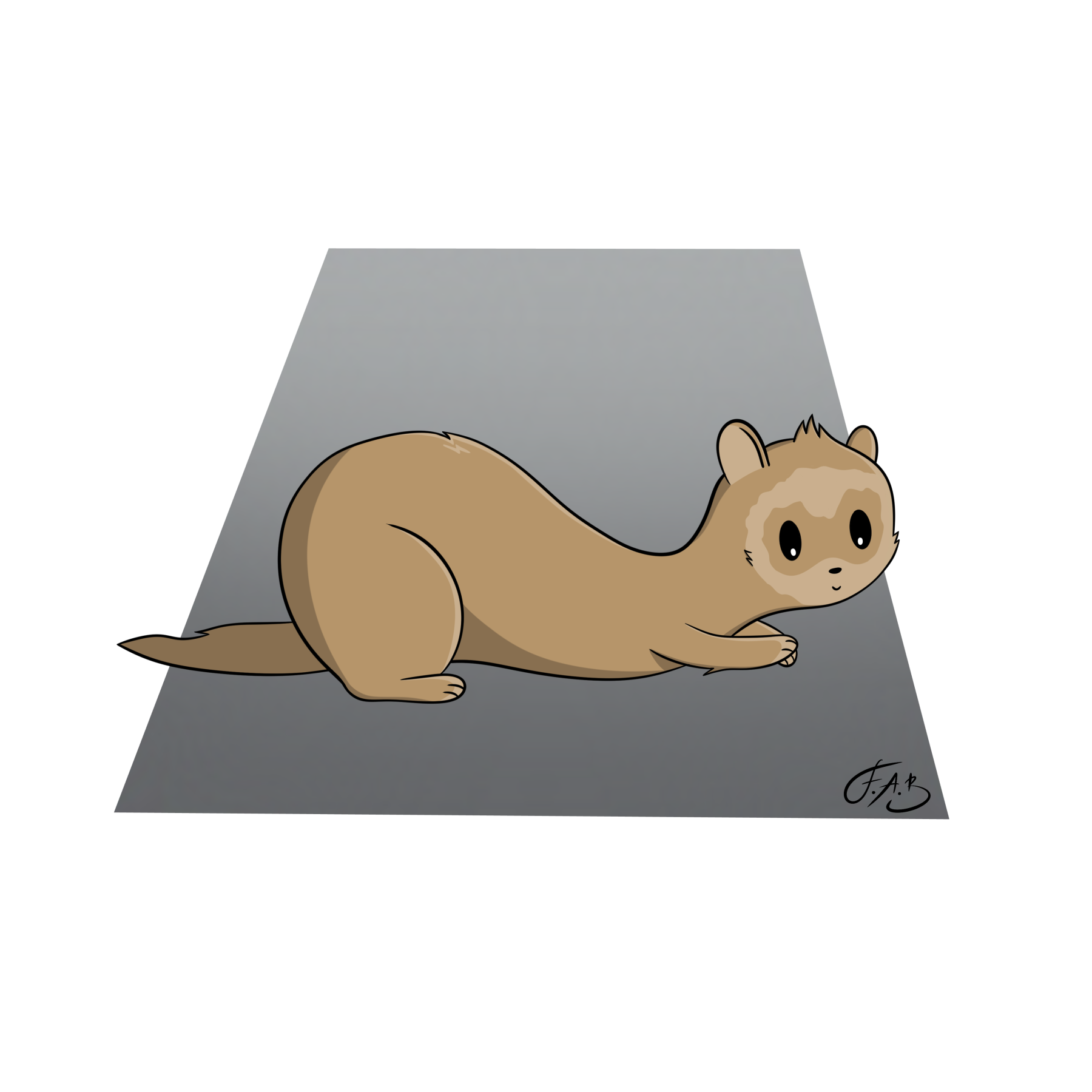 Ferret