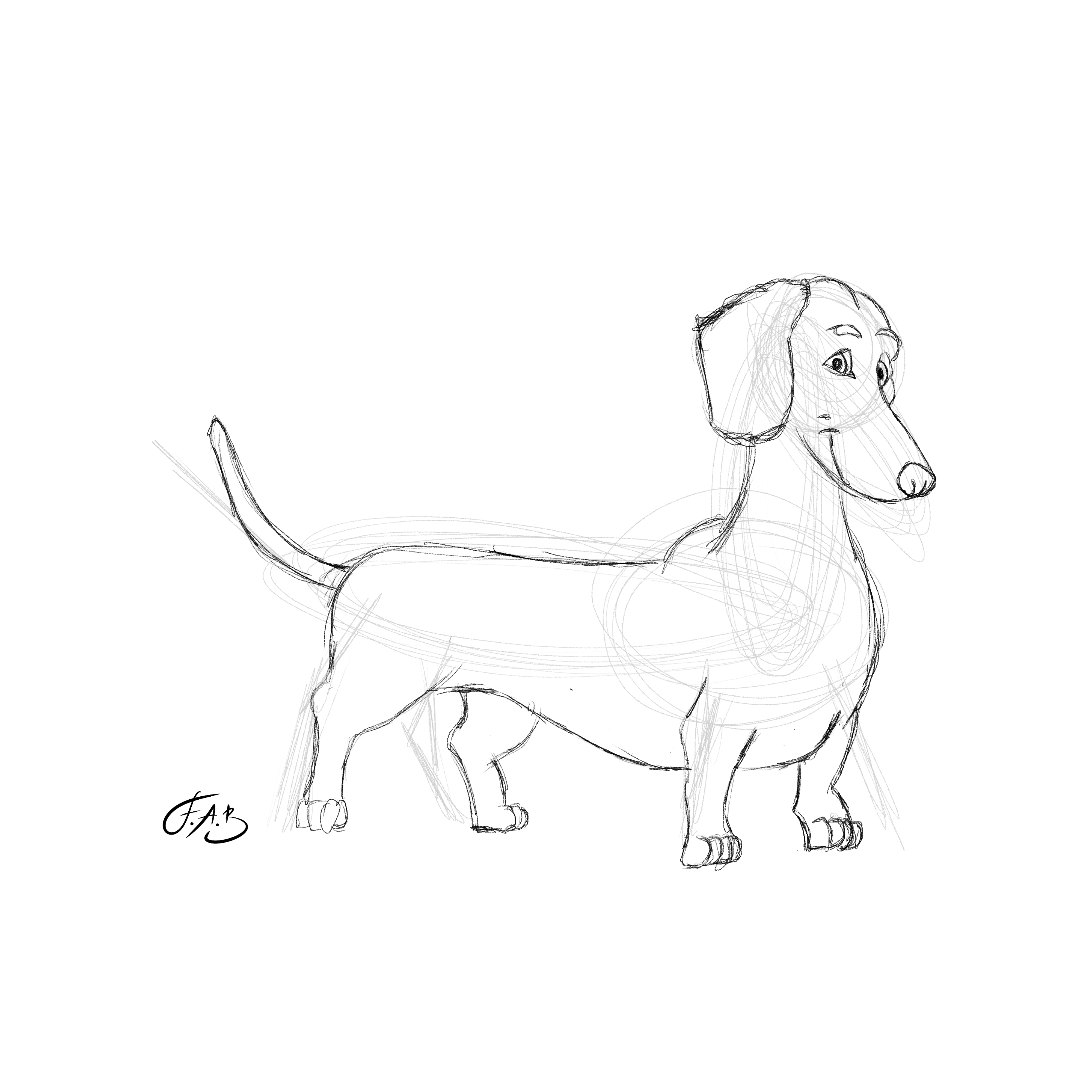 Dachshund — version 1