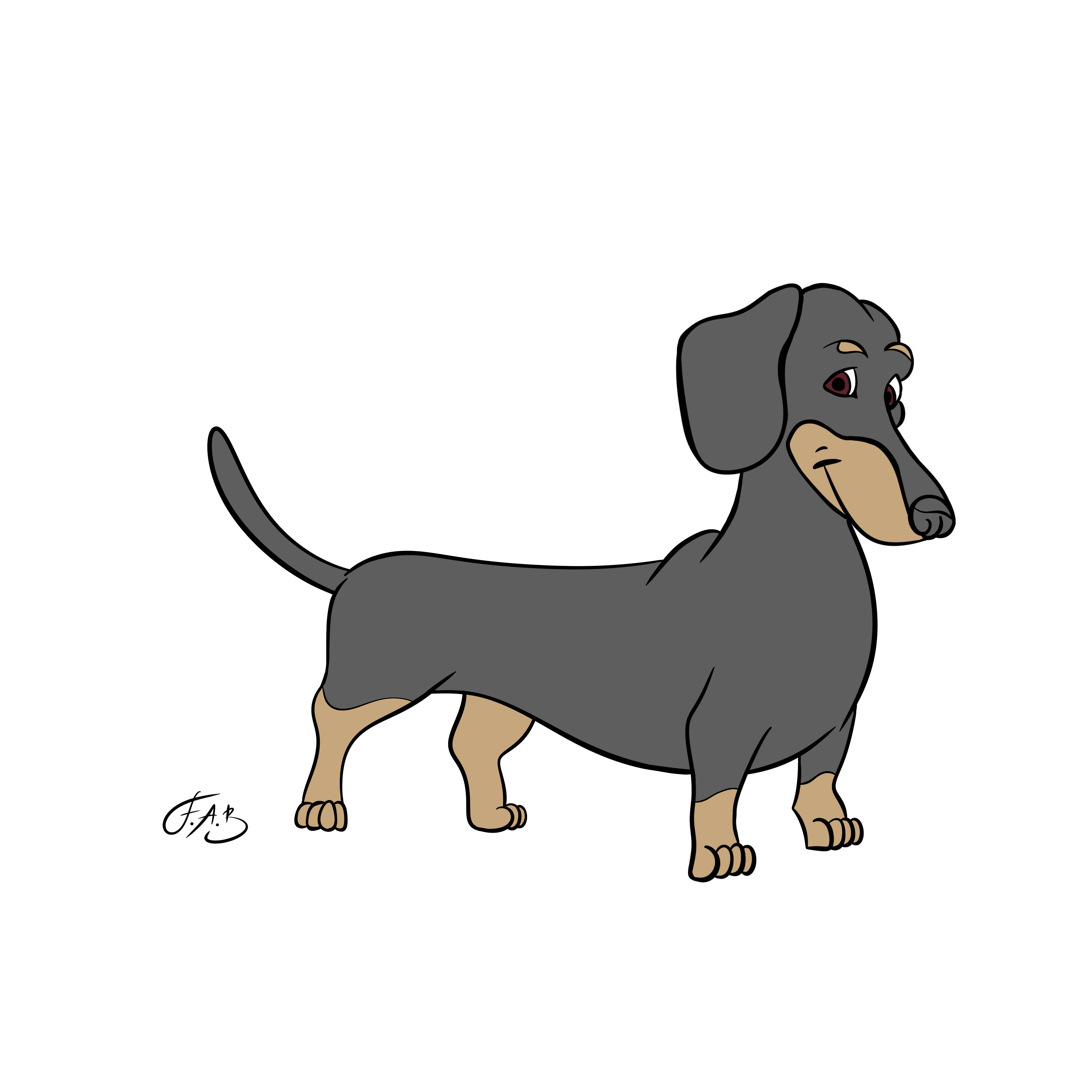 Dachshund — version 3