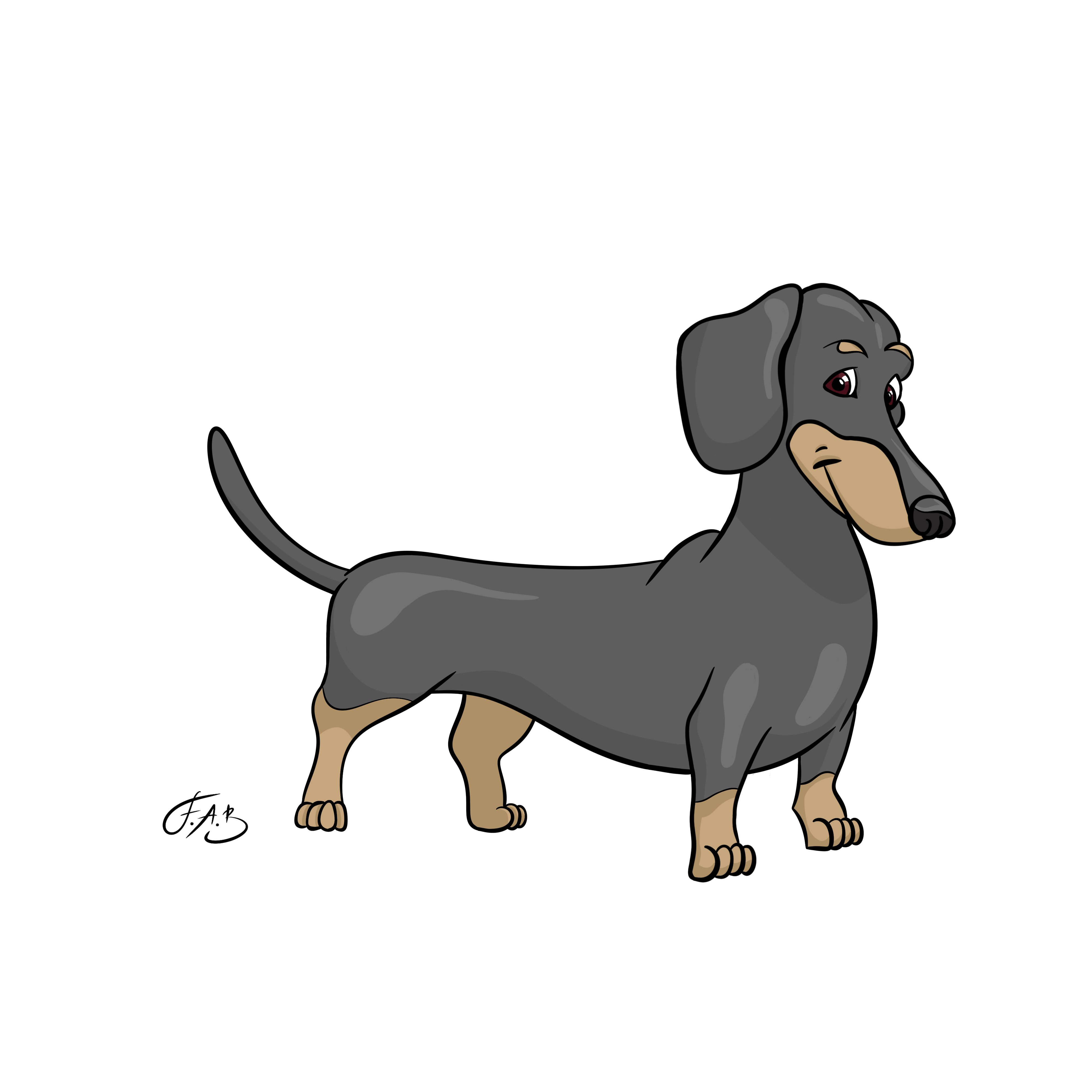 Dachshund — version 4