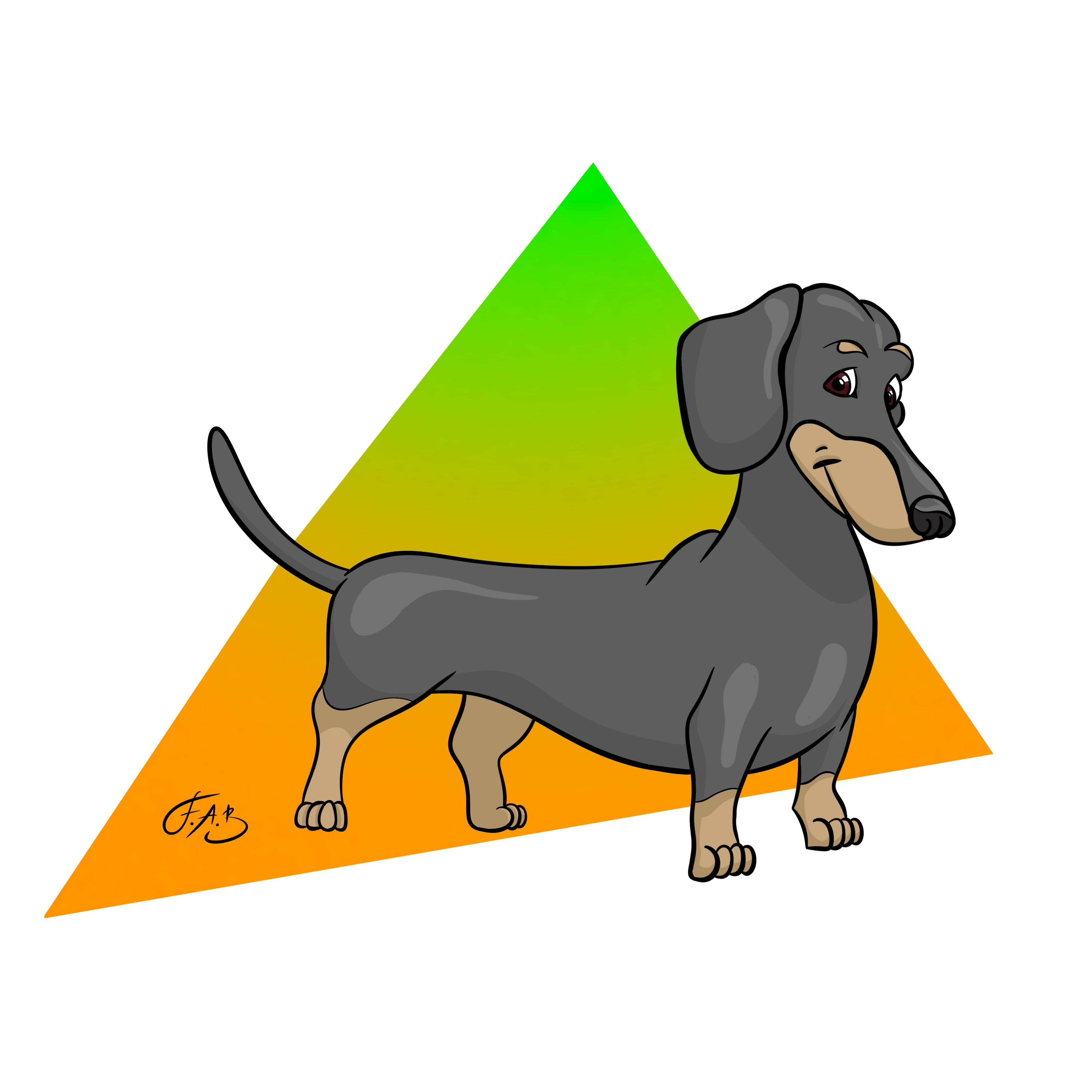 Dachshund