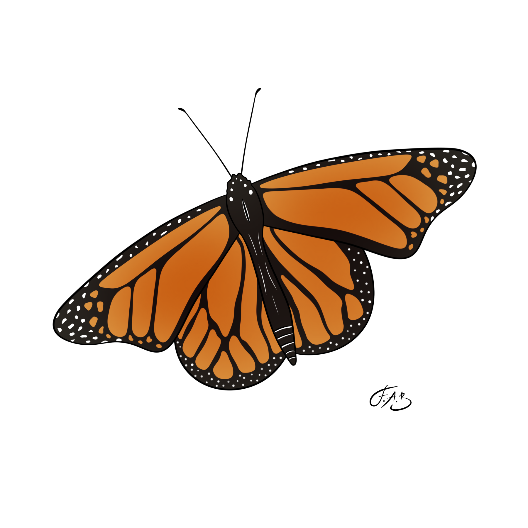Monarch Butterfly — version 4