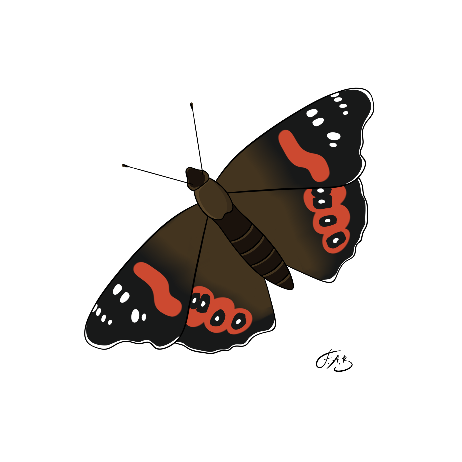 Red Admiral Butterfly — version 4